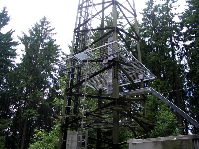 Stahl-Gittermast mit einer Arbeitsbühne aus Gitterrost im Wald.
